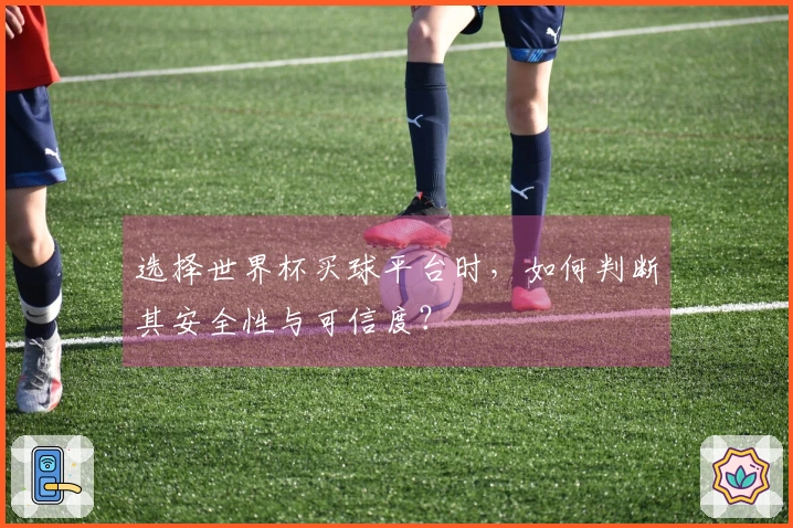 选择世界杯买球平台时，如何判断其安全性与可信度？