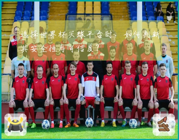 选择世界杯买球平台时，如何判断其安全性与可信度？