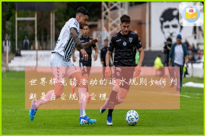 世界杯竞猜活动的返水规则如何判断是否合规与合理