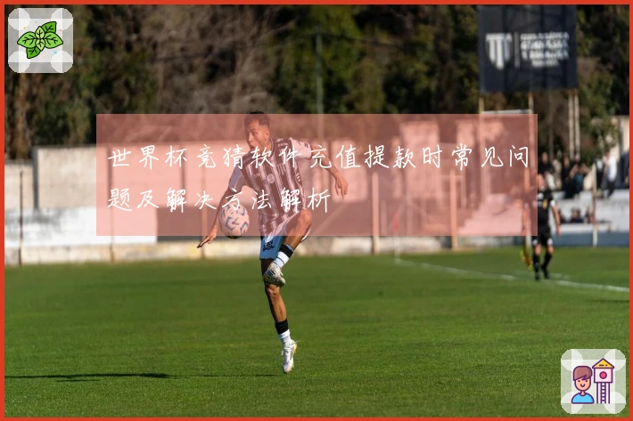 世界杯竞猜软件充值提款时常见问题及解决方法解析
